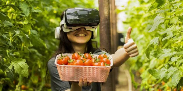 Masters in Agri-Food Chain in European and Global Markets